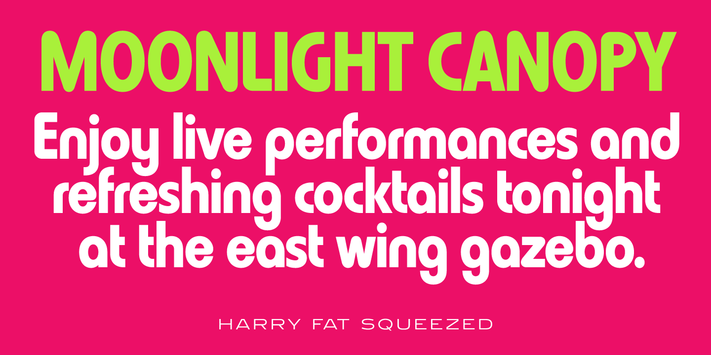 Harry Pro Heavy Squeezed Font preview